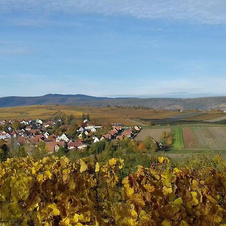 Le Repaire Des Hirondelles - Le Colombage Villa Scharrachbergheim-Irmstett Kültér fotó
