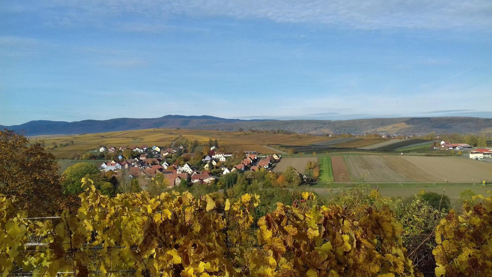Le Repaire Des Hirondelles - Le Colombage Villa Scharrachbergheim-Irmstett Kültér fotó