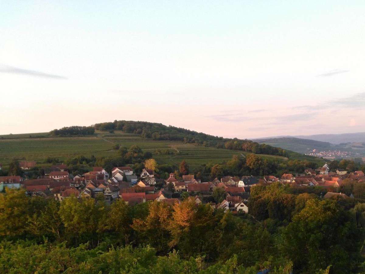 Le Repaire Des Hirondelles - Le Colombage Villa Scharrachbergheim-Irmstett Kültér fotó